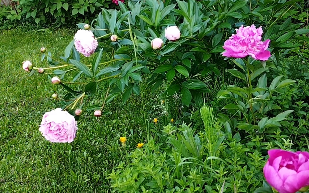 Featured blog image